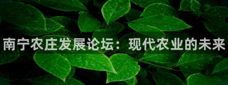 天辰娱乐平台app下载