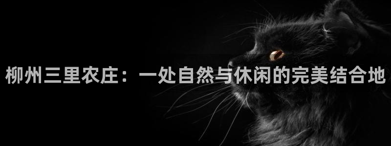 天辰娱乐60447