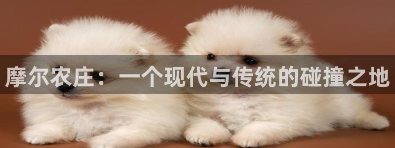 天辰娱乐APP下载