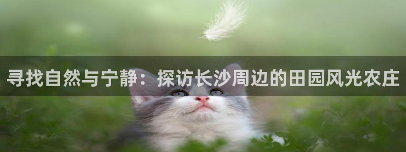 天辰娱乐注册登录