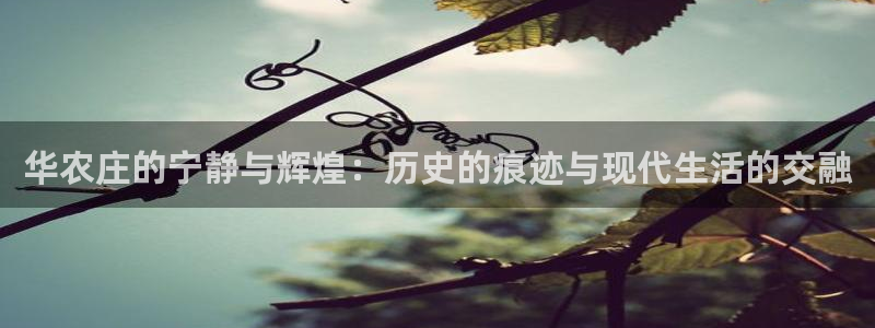 南京天辰娱乐
