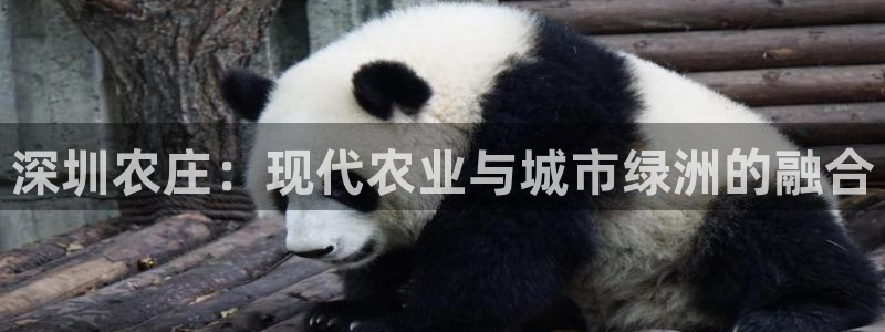 天辰娱乐视频