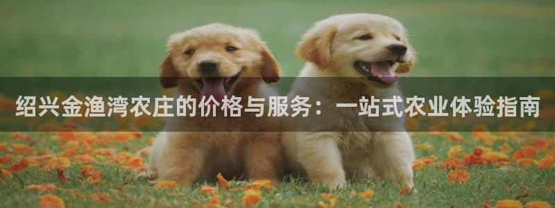天辰娱乐公司