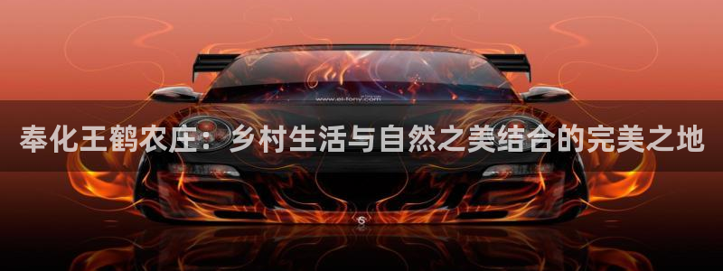 天辰娱乐娱乐