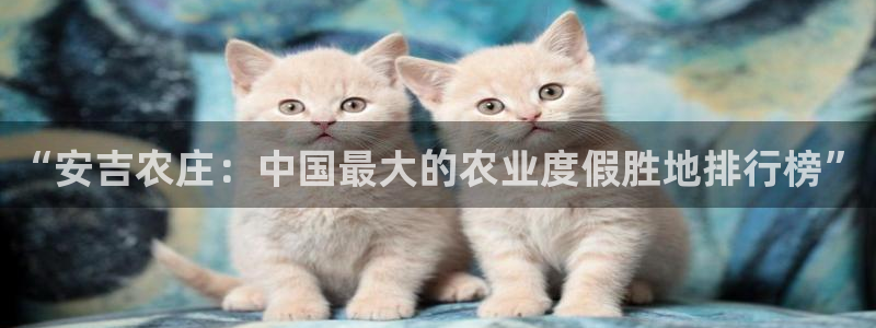 天辰娱乐黑人