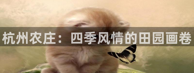 天辰娱乐84566