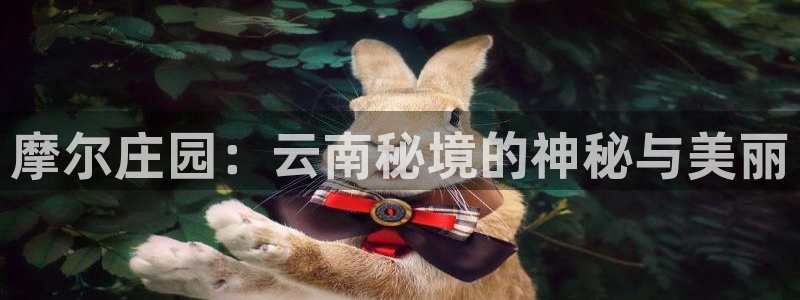 天辰娱乐反水