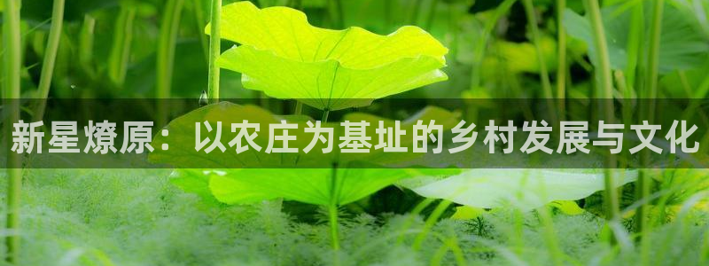 天辰娱乐平台安全吗