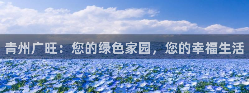天辰娱乐885544