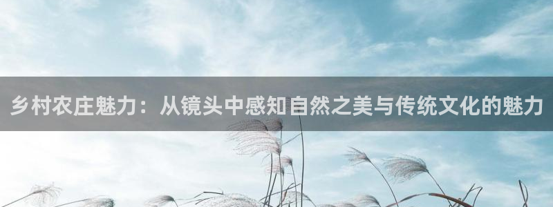天辰娱乐台湾