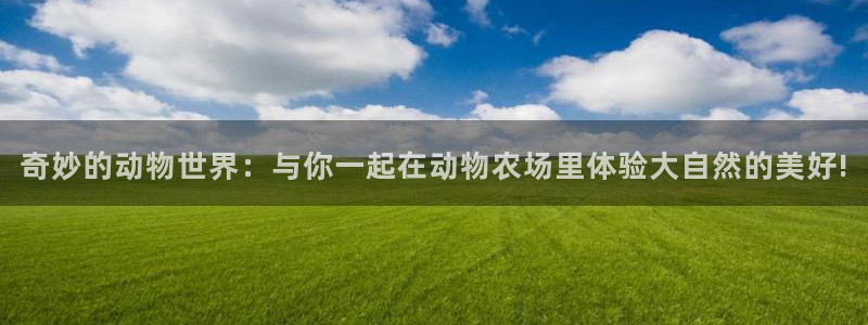 天辰娱乐557696