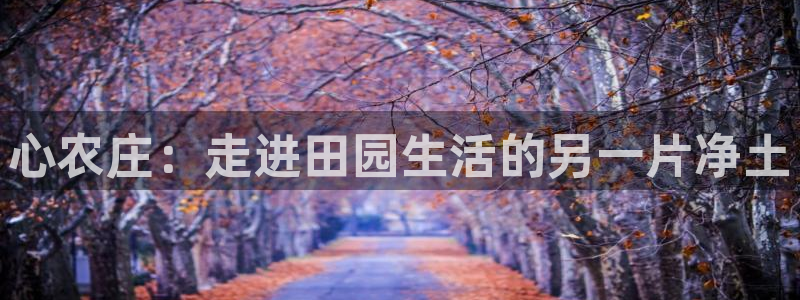 深圳天辰娱乐