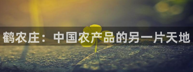 天辰娱乐官网平台入口