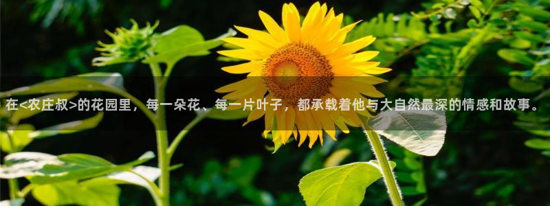 手机上怎么下载天辰娱乐