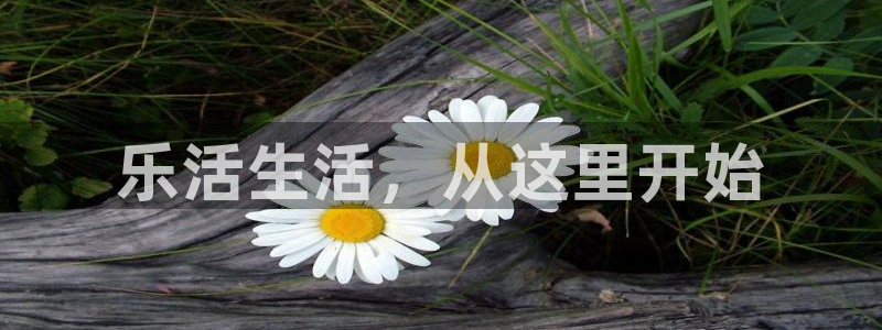 天辰娱乐平台地址在哪里