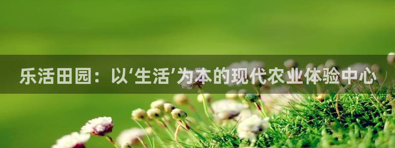 天辰娱乐输了