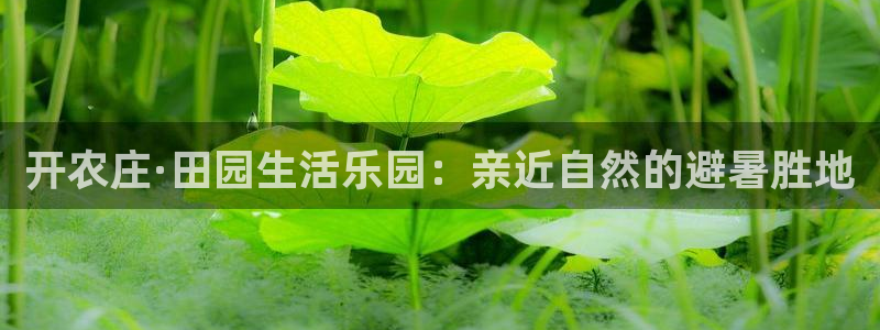天辰娱乐传媒