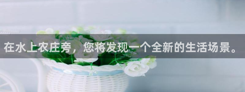 天辰娱乐_675138