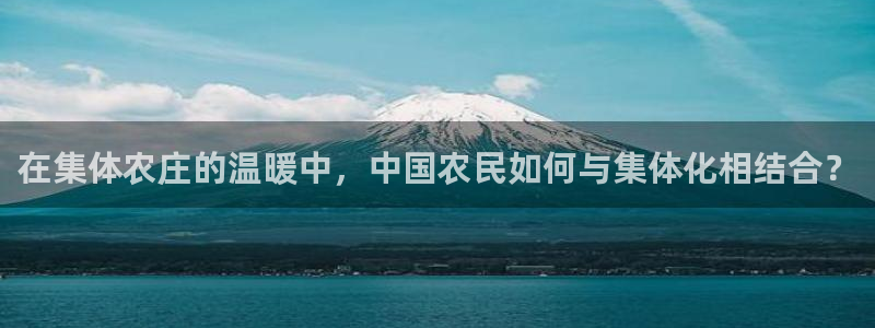 天辰娱乐 . 鱼刺