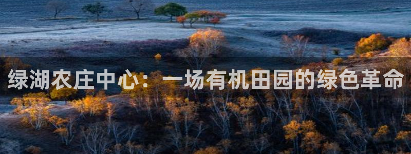 南充天辰娱乐
