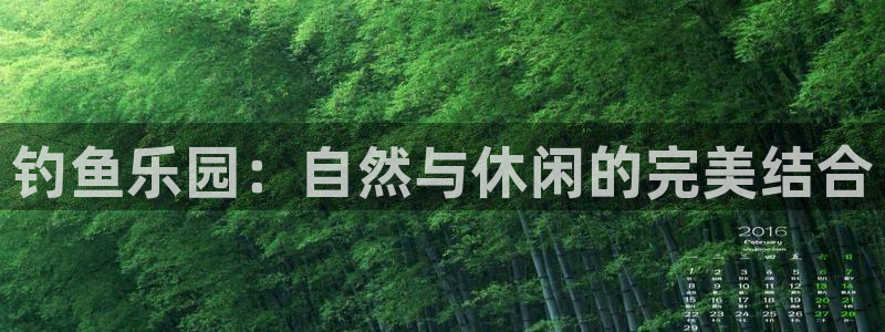 天辰娱乐总管
