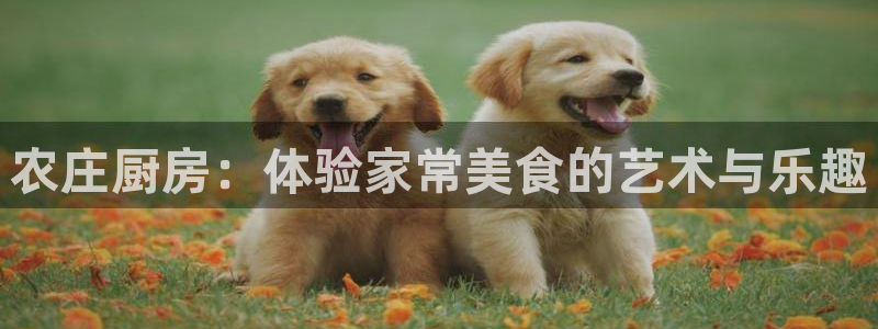 天辰娱乐下载地址