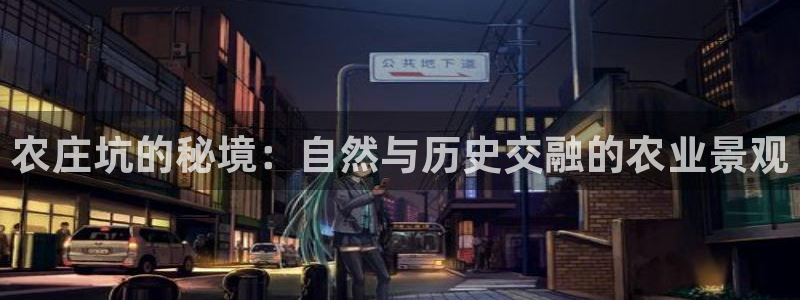 天辰娱乐输了