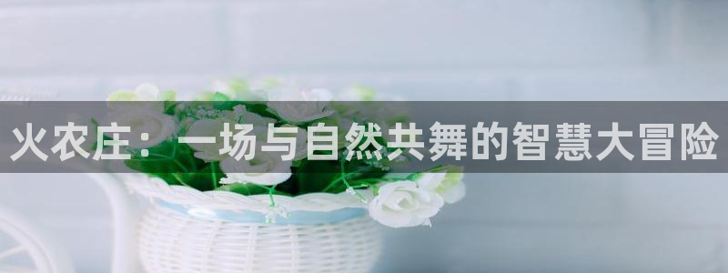 天辰娱乐 主管