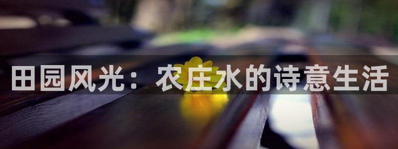 天辰娱乐平台地址在哪里