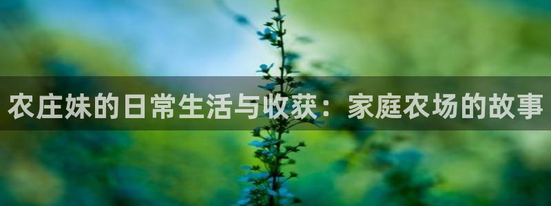 天辰娱乐信誉