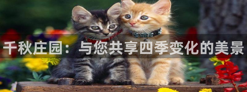 天辰娱乐44616