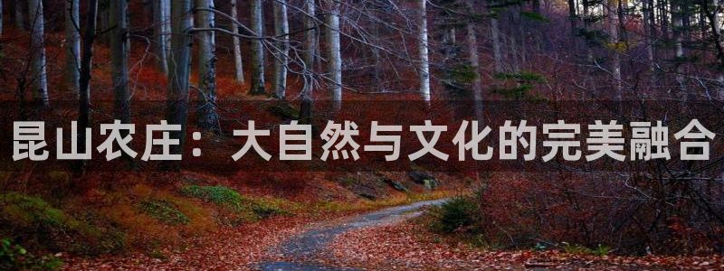 天辰娱乐服务