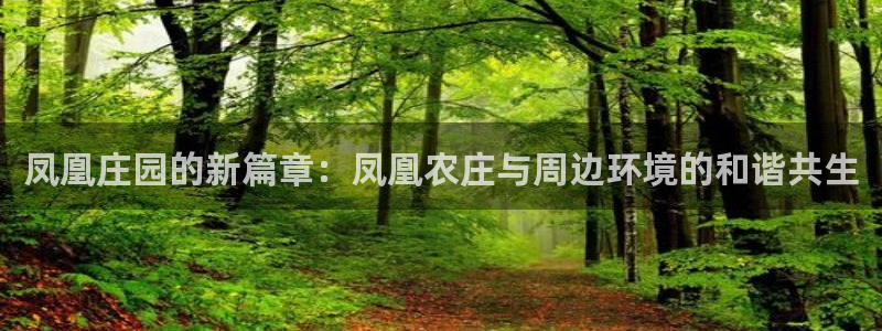 天辰宝娱乐