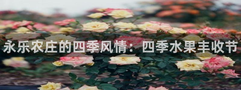 哈尔滨天辰娱乐