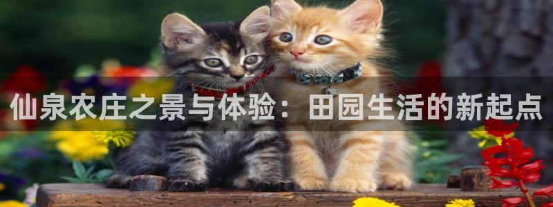 菲律宾天辰娱乐