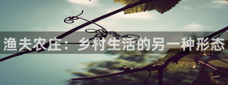 天辰娱乐直属