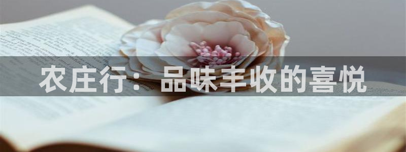 天辰娱乐棋牌