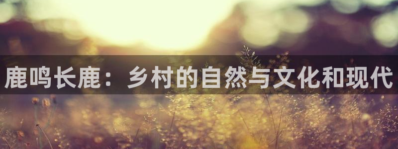 天辰娱乐开户