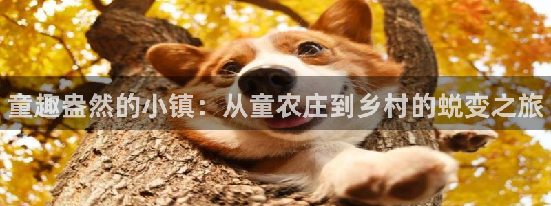 天辰彩票娱乐