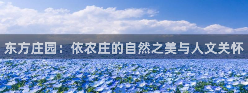 天辰娱乐 18113