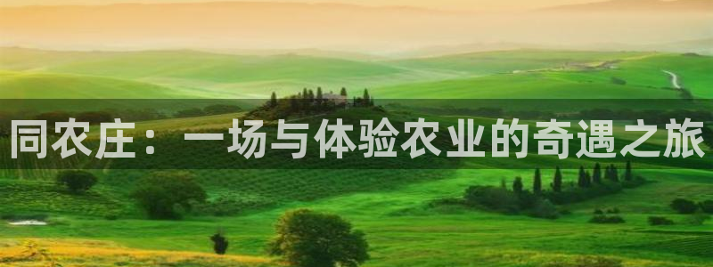 天辰娱乐内部