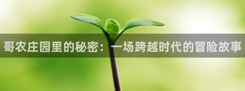 常州天辰娱乐