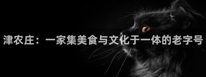 天辰娱乐网