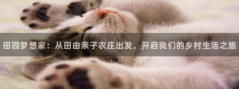 天辰娱乐入口