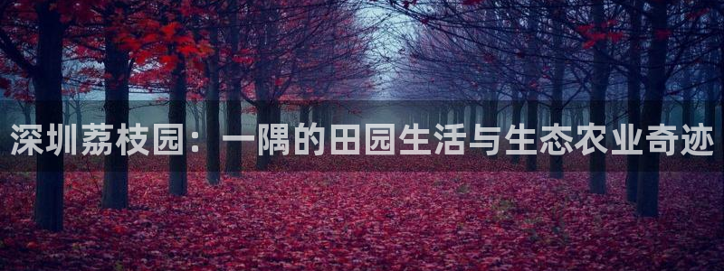 天辰娱乐网址娱乐游戏