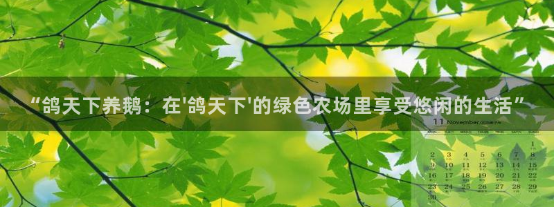 天辰娱乐指尖所