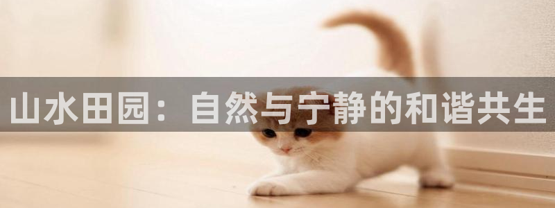 天辰娱乐论坛