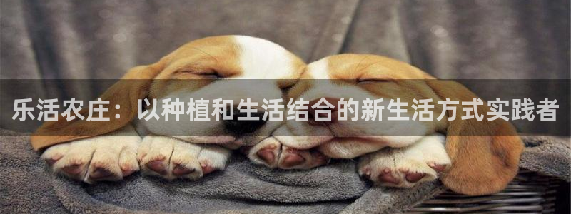 天辰娱乐官网