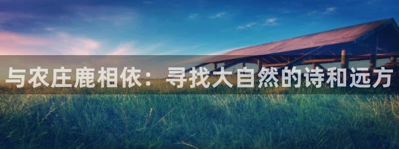天辰娱乐会员