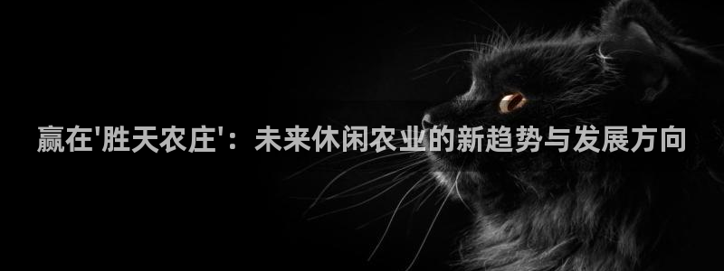 北京天辰娱乐